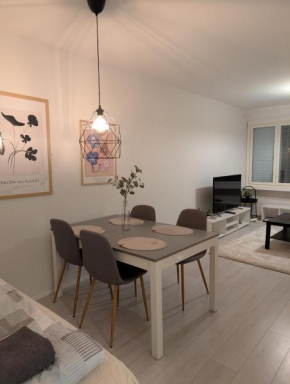 40-Apartment in Kemi city center , balcony and free parking